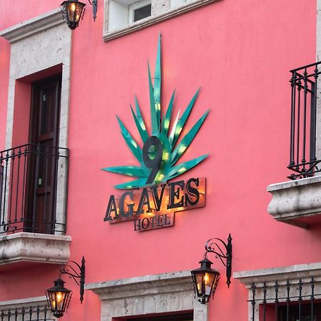 Nueve Agaves Hotel 테킬라 외부 사진